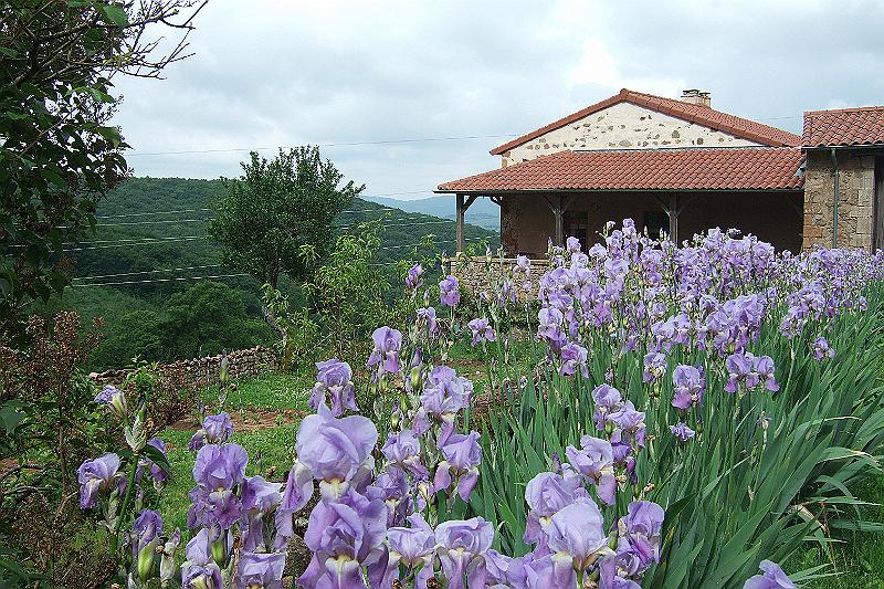 2010-06- (10).JPG